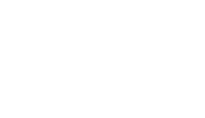Nu View Logo White